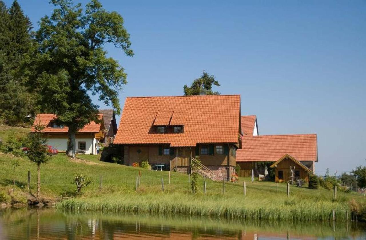 Ferienhof Kienbronnerhof Schiltach Exteriér fotografie