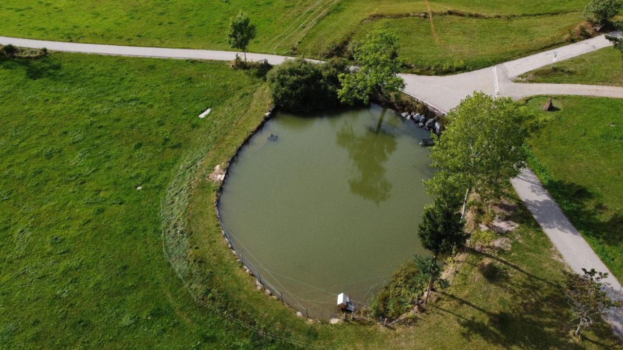 Ferienhof Kienbronnerhof Schiltach Exteriér fotografie
