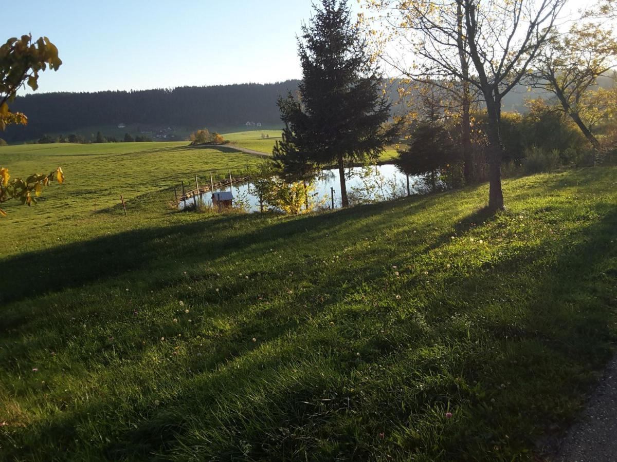 Ferienhof Kienbronnerhof Schiltach Exteriér fotografie